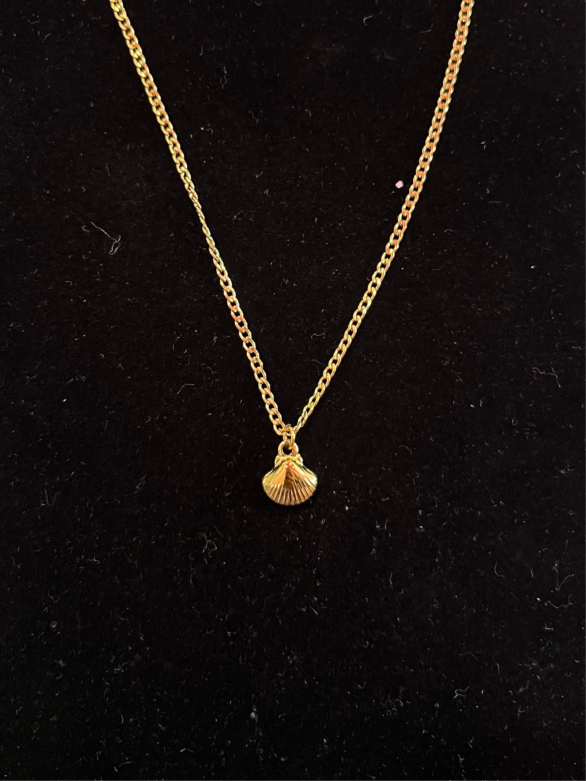 Shells Out Necklace