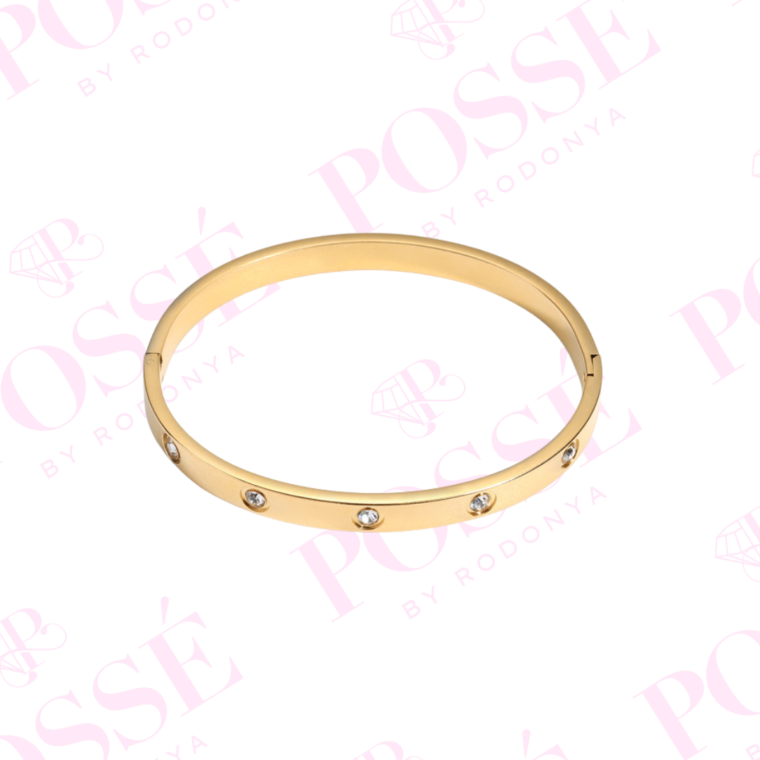 XARI Stainless Steel Bangle