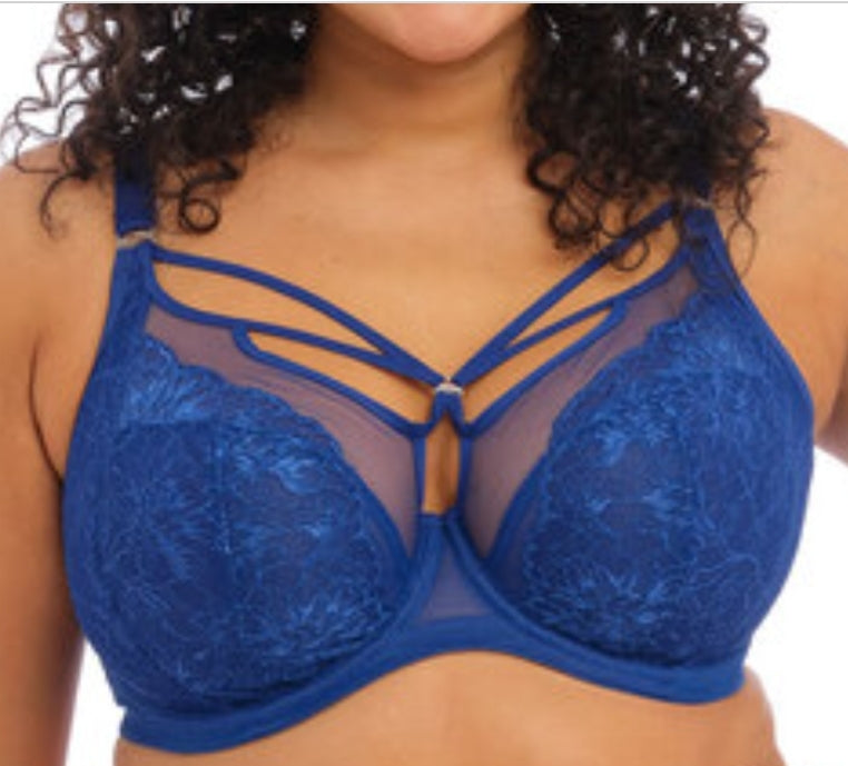 Elomi Brianna Royal Blue