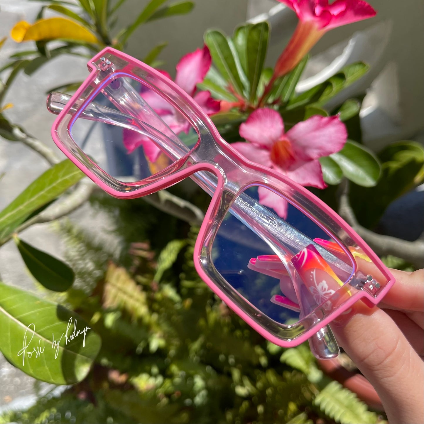 ROSIE Frames