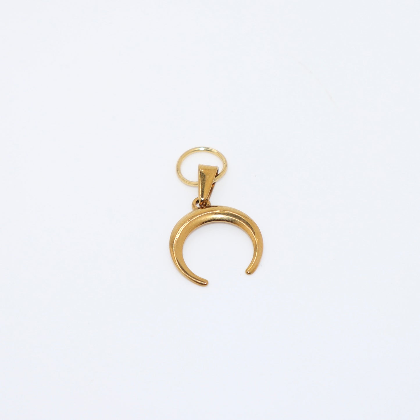 LUCKY HORN Charm