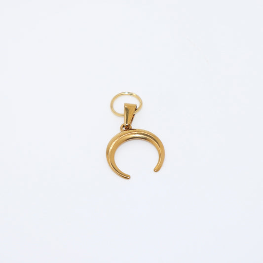 LUCKY HORN Charm