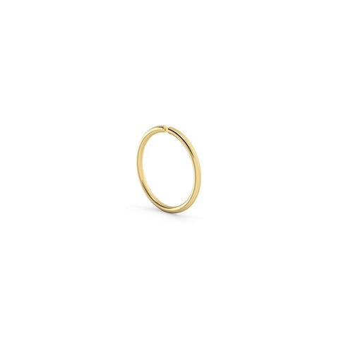 Nose Ring Hoop