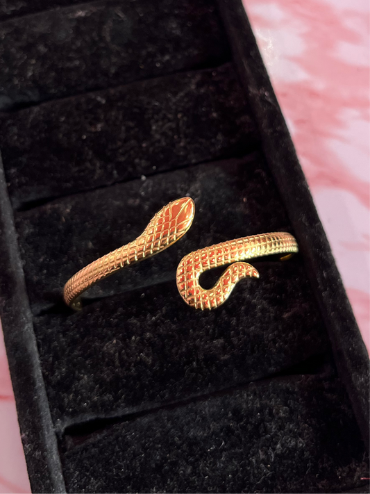 Hiss Bangle