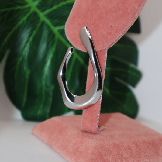 WISHBONE Earrings