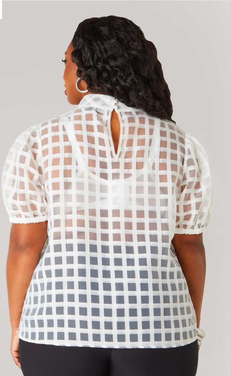 Window Pane Top