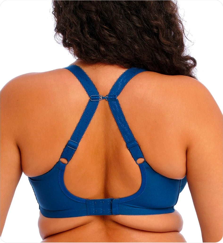 Elomi Charley Stretch Lace- Teal