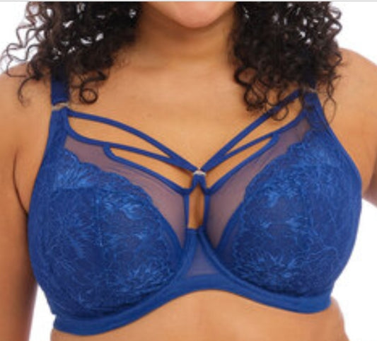 Elomi Brianna Royal Blue
