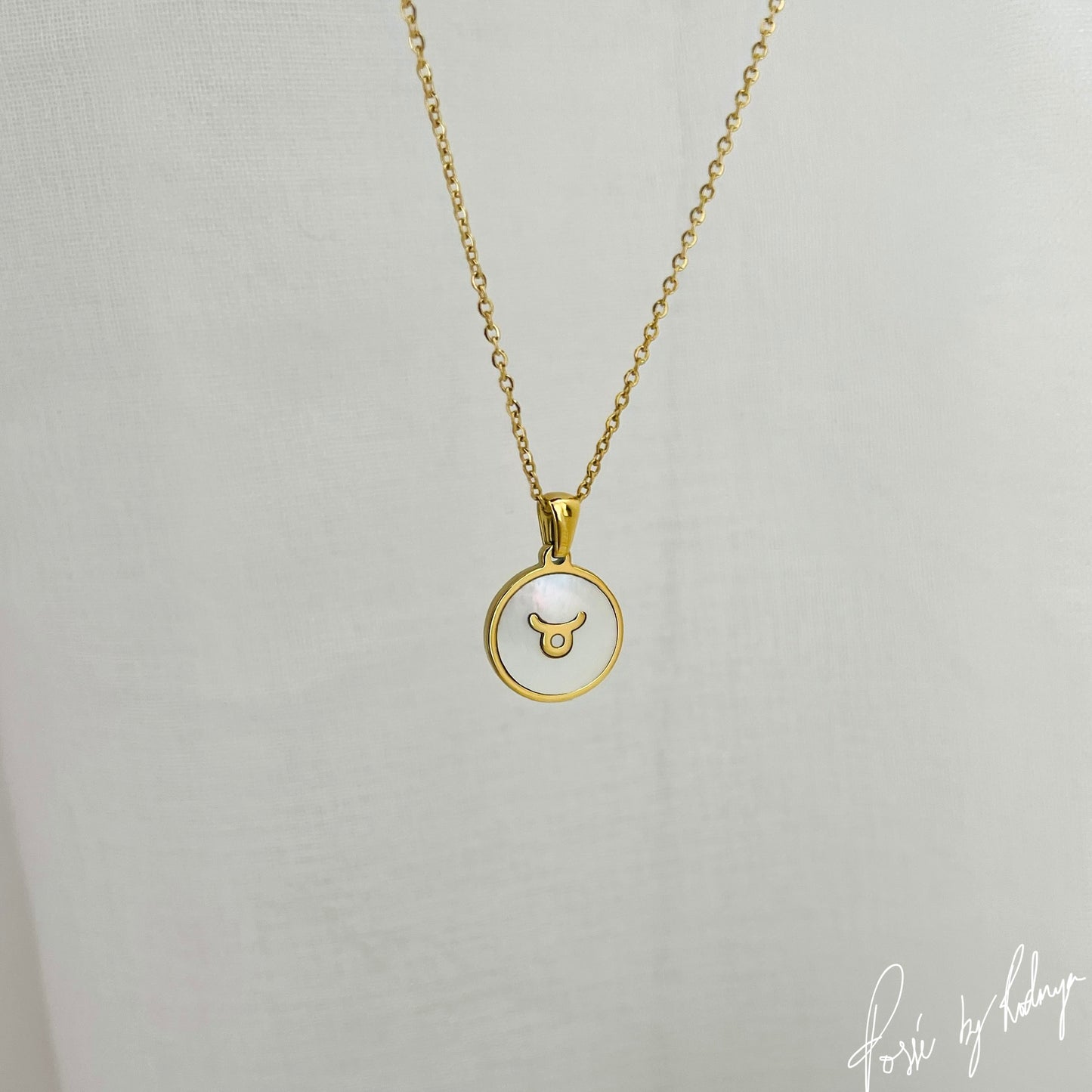 White REFLECTIVE ZODIAC Necklace