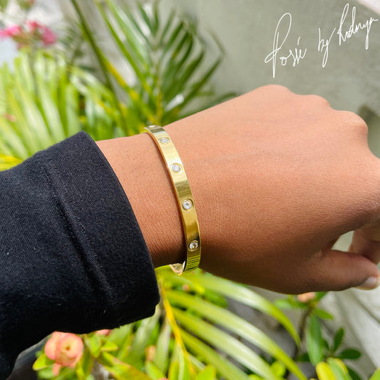 XARI Stainless Steel Bangle